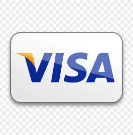 Visa Payment Accepted - Secure Checkout